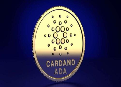 カルダノ オンラインカジノで楽しむ最高のギャンブル体験